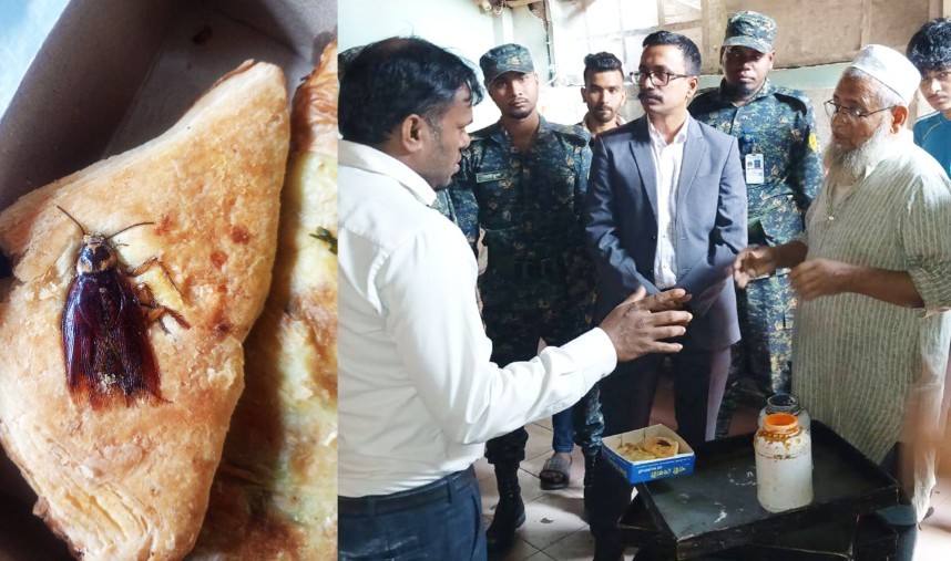 পেটিসে তেলাপোকা, অতঃপর...